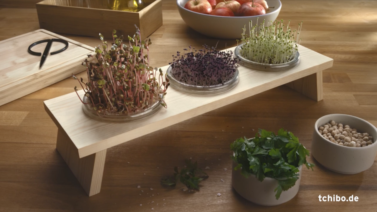 Bildschirmfoto 2022-08-10 um 10.55.35